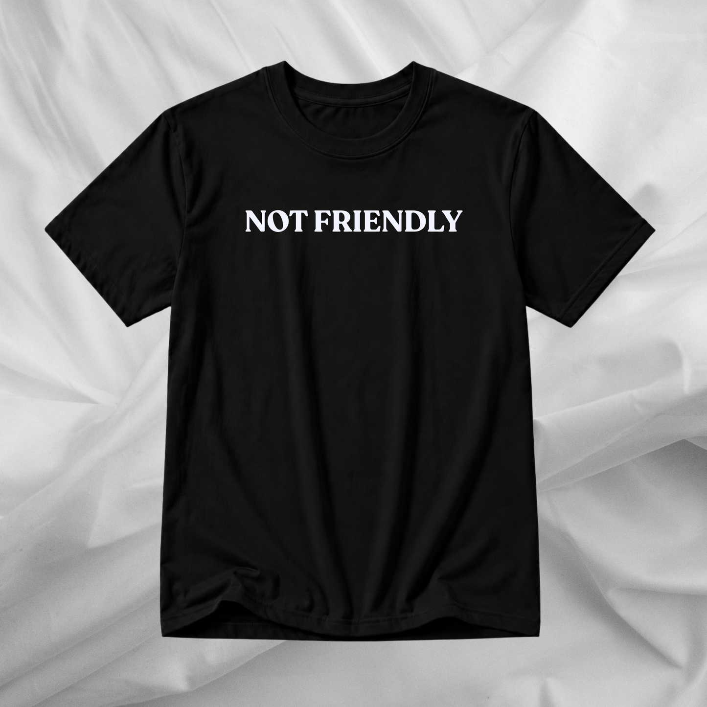 Not Friendly Black Slogan T-Shirt | Funny Graphic Tee