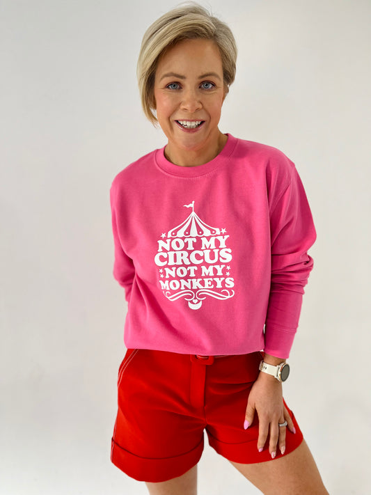 NOT MY CIRCUS, NOT MY MONKEYS SWEATER